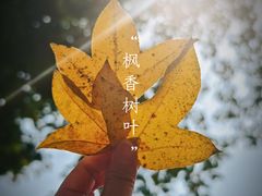 -广东中医药博物馆