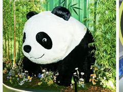 -成都欢乐谷