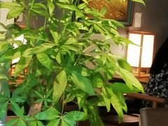 -本处·素食·融合料理(南油店)