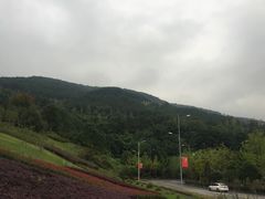 -铁山坪森林公园