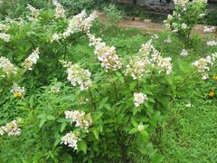 -长春公园(普阳街道)