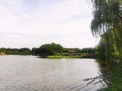 -上海市保健医疗中心