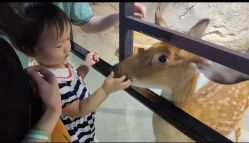 -酷嗒动物文化乐园(cutezoo西溪乐天城店)