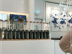 -喜茶(迪士尼小镇DP店)