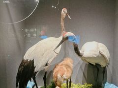 -长江文明馆