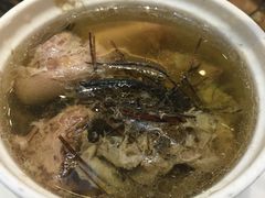 -新兴·金羊座·粤菜点心(乐峰店)