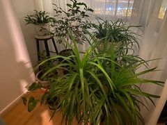 -逸栈养生SPA(望京店)