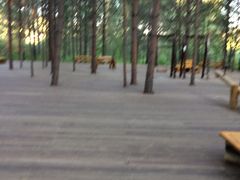 -北极村旅游风景区