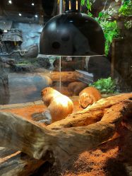 -Zoolung Zoolung动物主题公园(海信广场店)