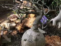 -国家植物园南园