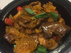 -石头咕(葵蓬店)