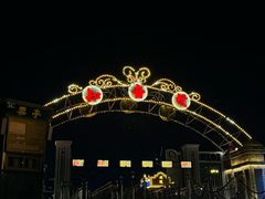 -武汉知音号