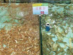 -渔民新村(番禺总店)