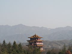 -中原大佛景区