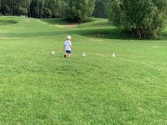 -长白岛森林公园