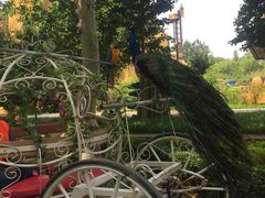 -石家庄市动物园