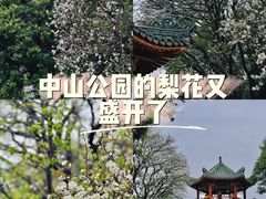 -中山公园