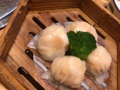 -粤食堂(天津和悦汇店)