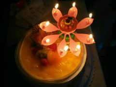 -龙兴·动物奶油生日蛋糕(龙北店)