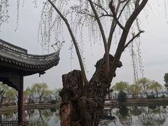 -无锡蠡湖国家湿地公园-蠡园