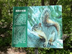 -湖洞水自然风景区