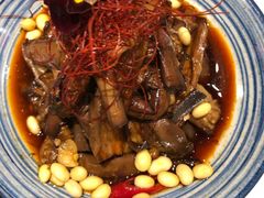 -鸭匠食府·挂炉烤鸭·新京菜(阜成路店)