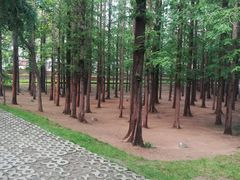 -八大关景区