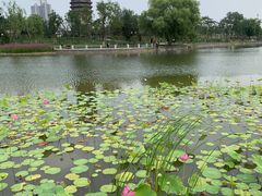 -西海子公园