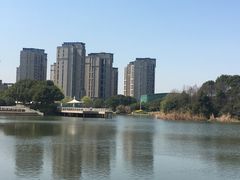 -新江湾城公园