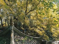 -绮园景区
