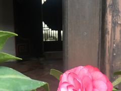 -载阳客栈