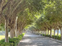 -风云岭森林公园