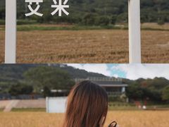 -艾米稻香小镇