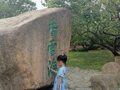 -香雪海