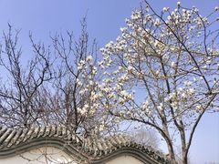 -鹫峰国家森林公园