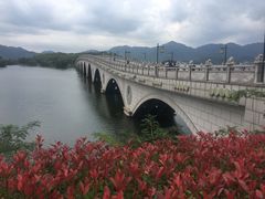 -四明湖