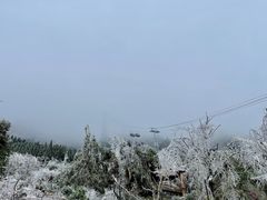 -金子山原生态旅游风景区