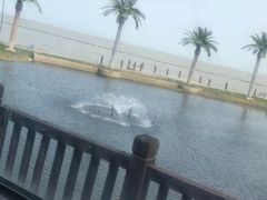 -红樽舫湖州菜.湖景餐厅(太湖渔人码头店)