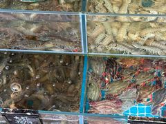 -北戴河庆山饭店·海鲜砂锅粥(北戴河黑石路店)
