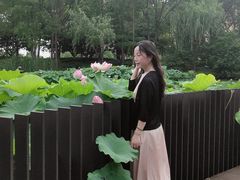 -陈家山荷花公园