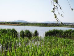 -绿堤公园