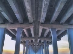 -宝安西湾红树林湿地公园