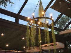 -The Dishes Seafood & Restaurant