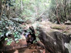 -海南热带雨林国家公园吊罗山景区