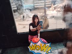 -清迈夜间动物园