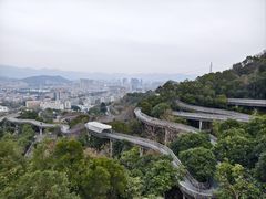 -福道
