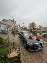 -蚂蚁婚车