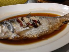 清蒸鲥鱼-宝燕海鲜(好爱店)