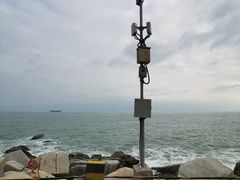 -广东惠东海龟国家级自然保护区