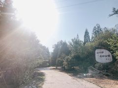 -白水寺森林公园